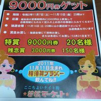 第17回 横須賀ブラジャーまつりを開催！